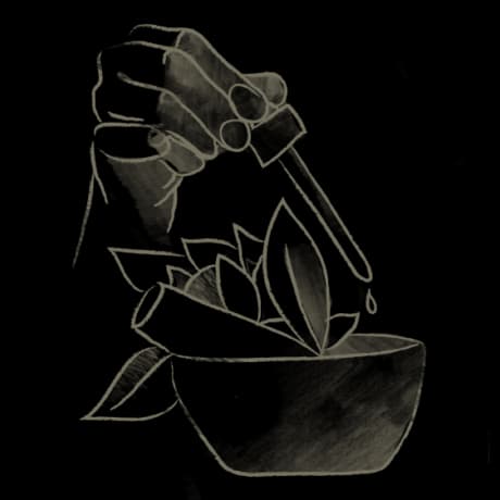 Naturopathic Medicine illustration