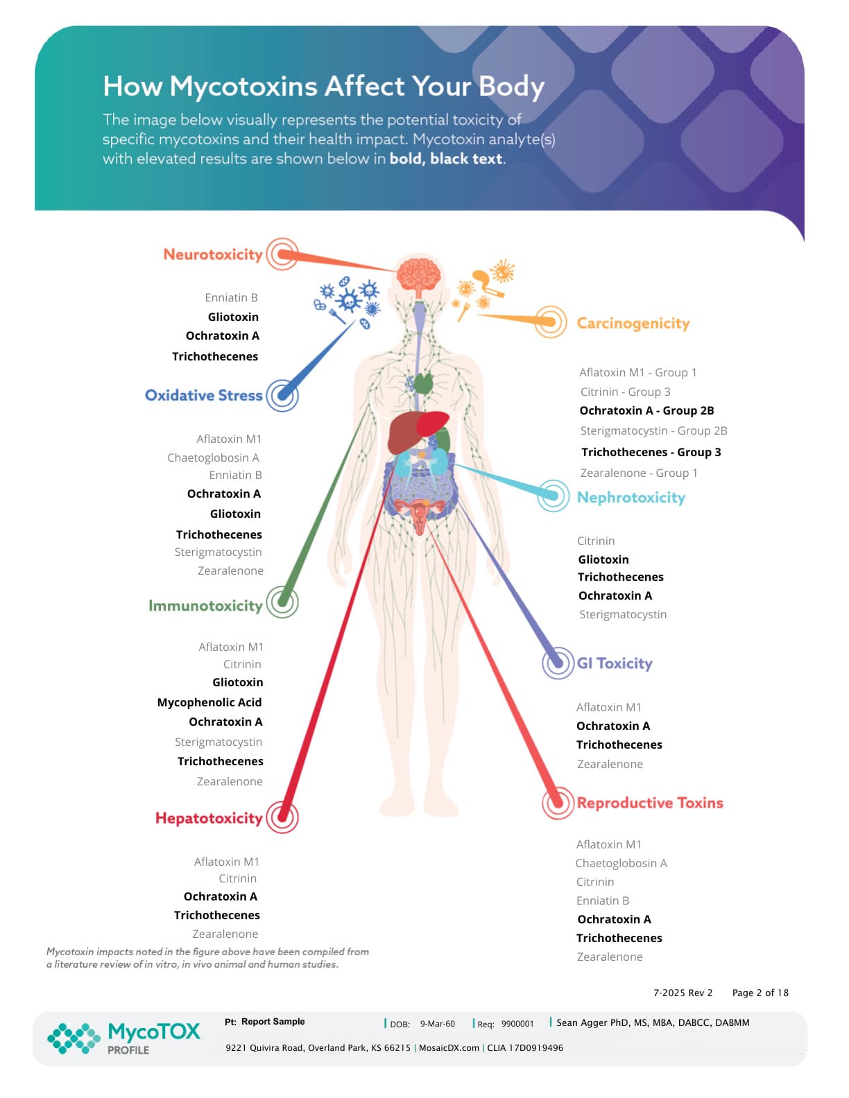 Mold Toxicity Testing, sample report from Mosaic Diagnostics, page 2